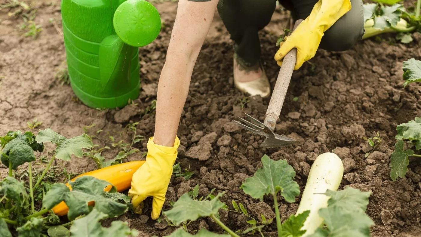 Review Of Healthy Breakfast Meals For Energy Boost