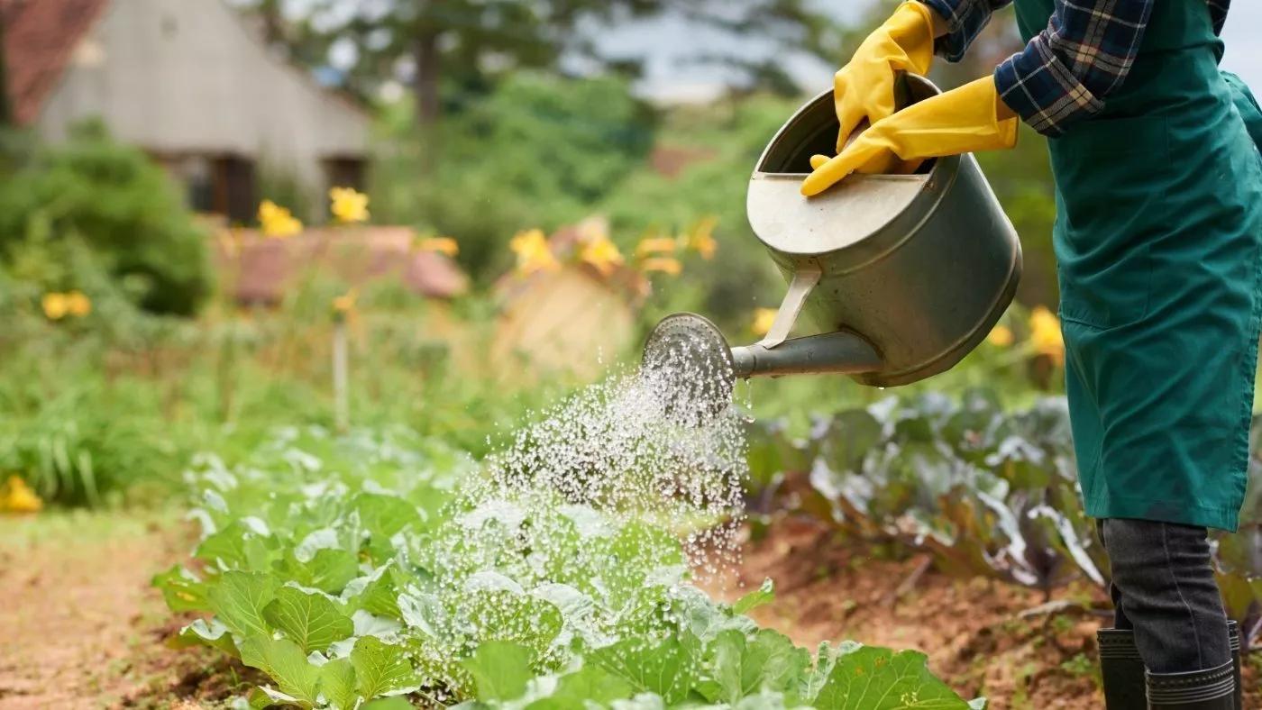 The influencer we actually do check every day for new year outfit Ideas.