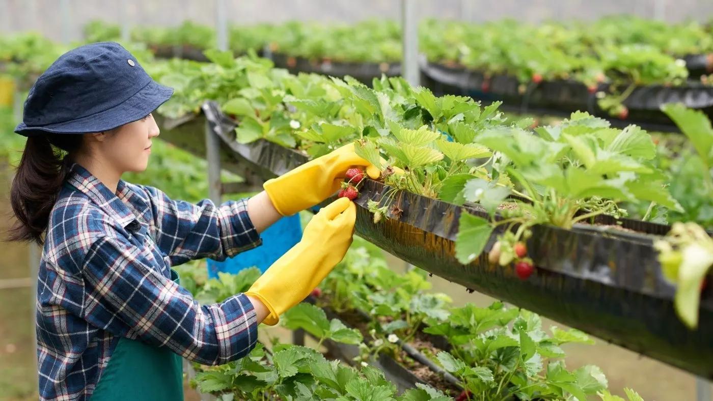 4 Ways You Can Grow Your Creativity Using FARM